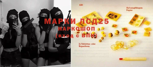 ешки Ельня