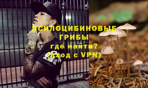 a pvp Заволжье