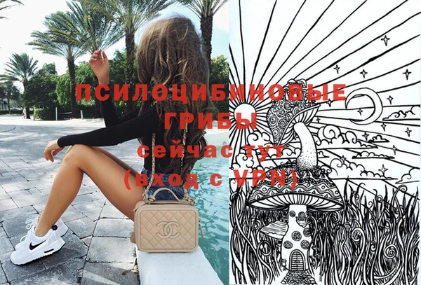 дмт Заводоуковск