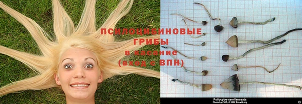 ешки Ельня