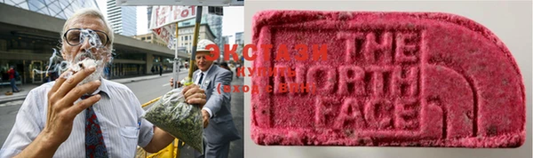 ешки Ельня